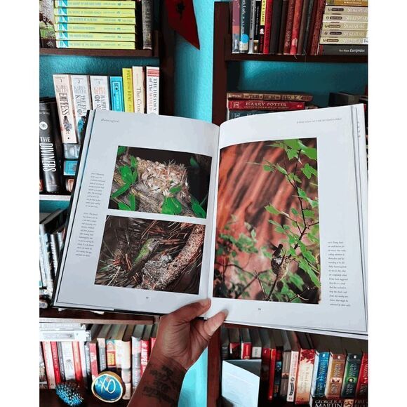 Vintage "Hummingbirds" Photographic Guide Book - Picture 2 of 5